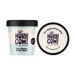 White mint single scoop tub